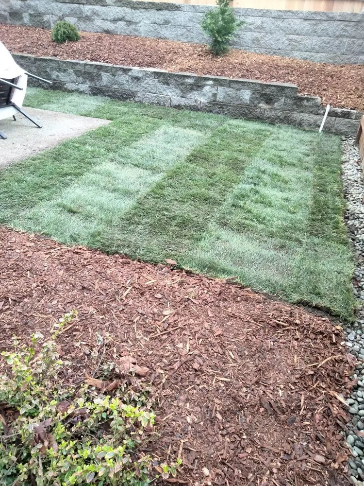 Affordable landscape installation for beautiful yards across Yelm, WA - The Northwest Groundsman Guys & Landscapes