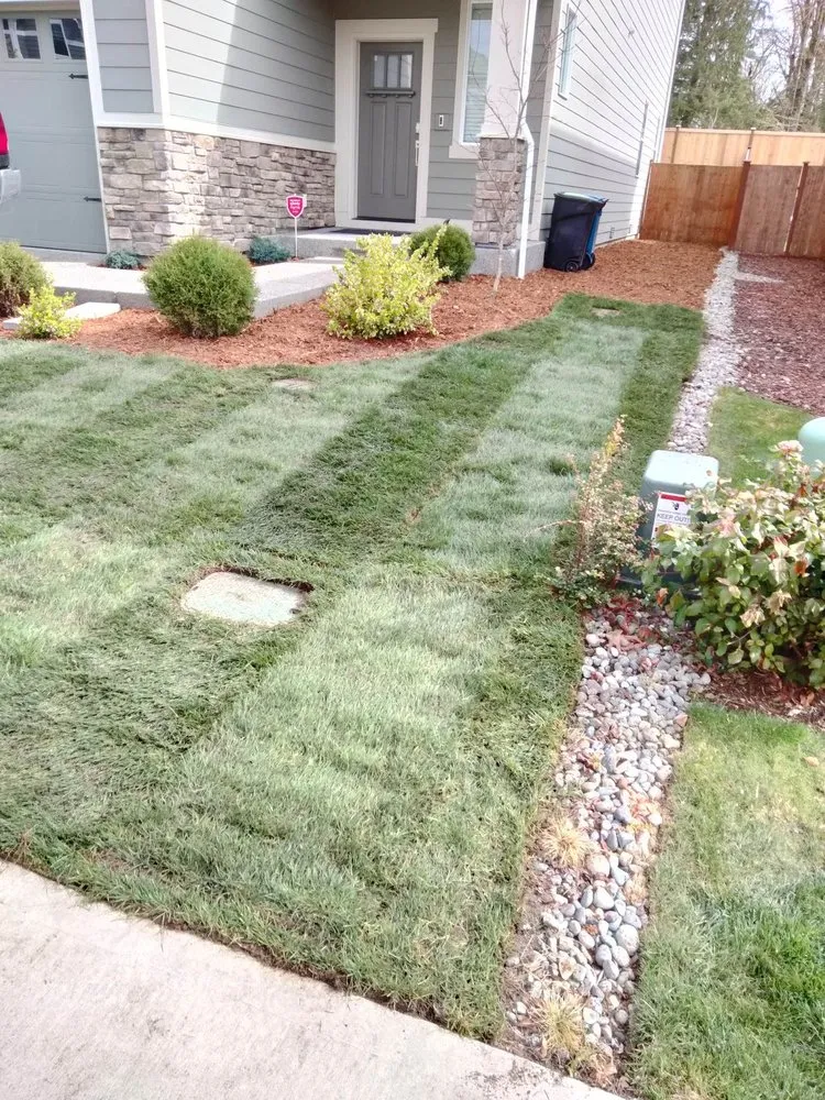 Professional yard cleanup service for residential properties in Yelm, WA by The Northwest Groundsman Guys & Landscapes