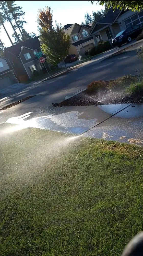 Top-rated yard cleanup service in Yelm, WA by The Northwest Groundsman Guys & Landscapes