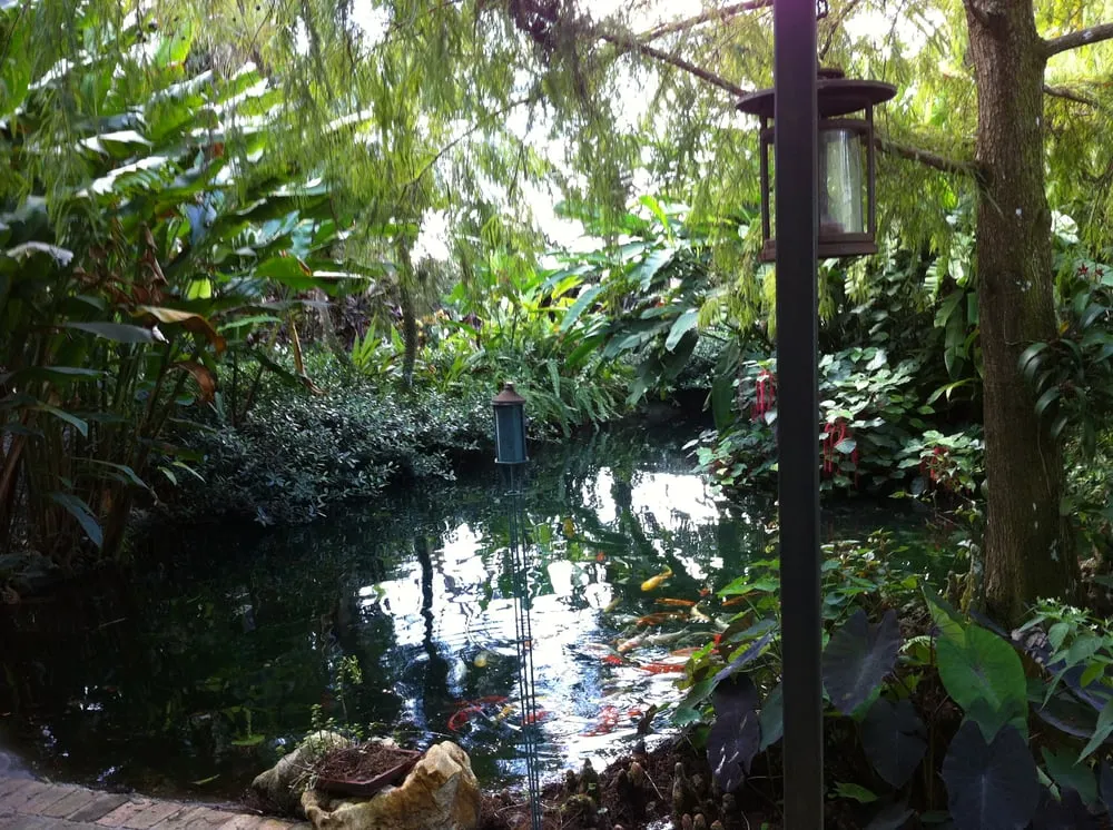 Affordable garden landscaping with custom design across Miami, FL - The Nursery & Pond Company