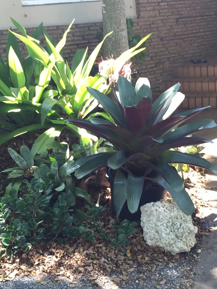 Reliable landscape design experts serving Miami, FL - The Nursery & Pond Company