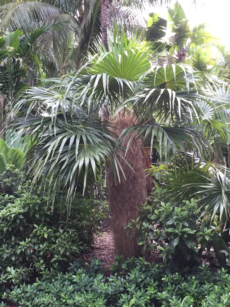 Reliable residential landscaping in Miami, FL - The Nursery & Pond Company