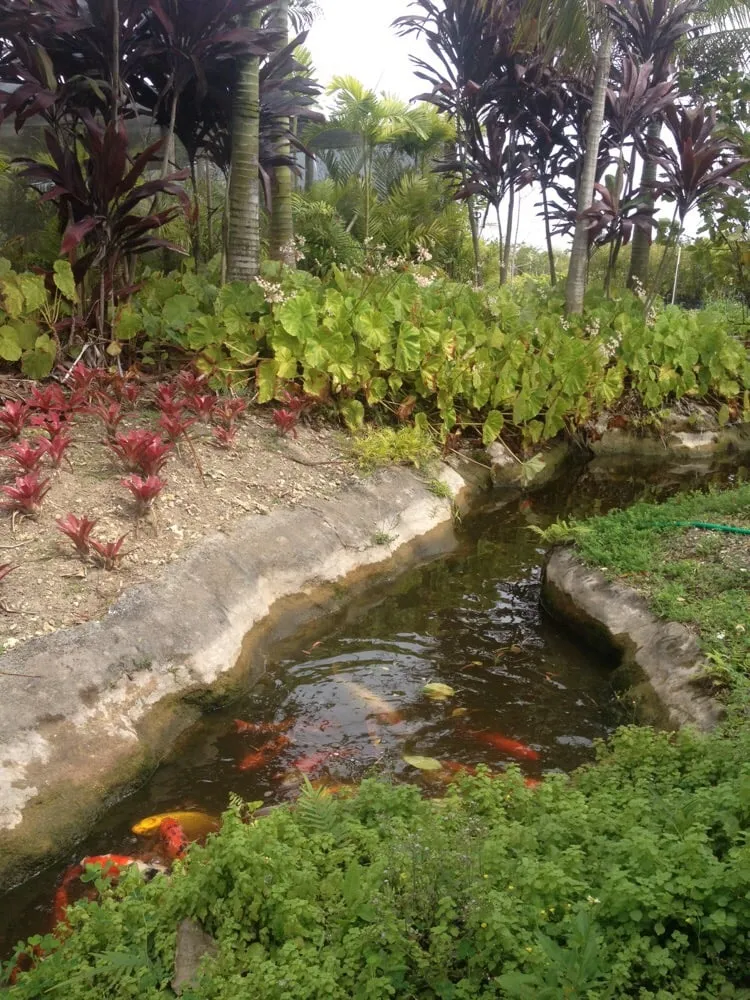 Trusted outdoor landscaping for beautiful yards in Miami, FL by The Nursery & Pond Company