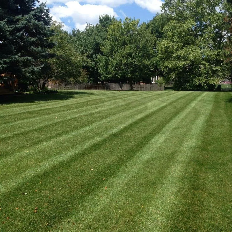 Custom garden landscaping in Naperville, IL - The Oak Grove Gardeners