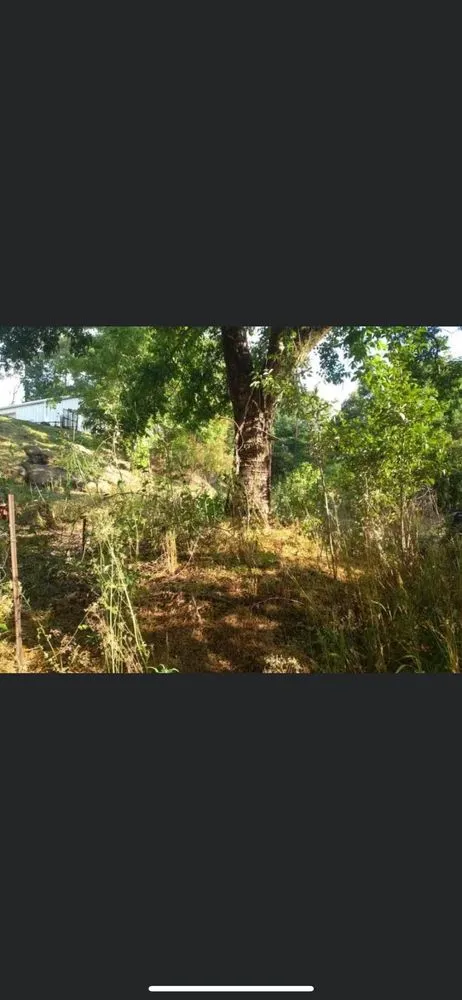 Professional landscaping services for homes across Birmingham, AL - The Oakland Brothers Lawn Care