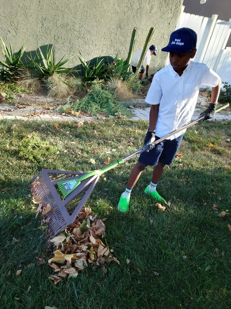 Reliable landscape design in Temecula, CA - The Odd Job Guys