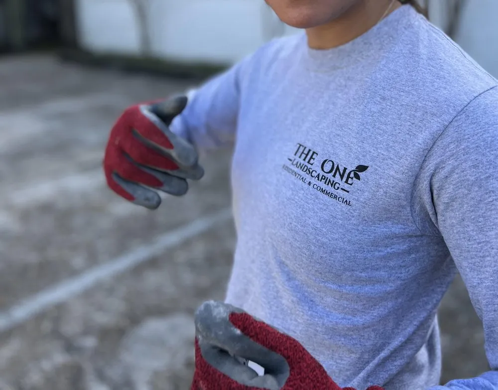 Expert yard maintenance in Houston, TX - The One Landscaping