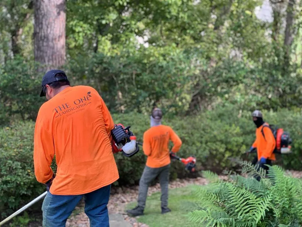 Expert landscaping services for beautiful yards across Houston, TX - The One Landscaping