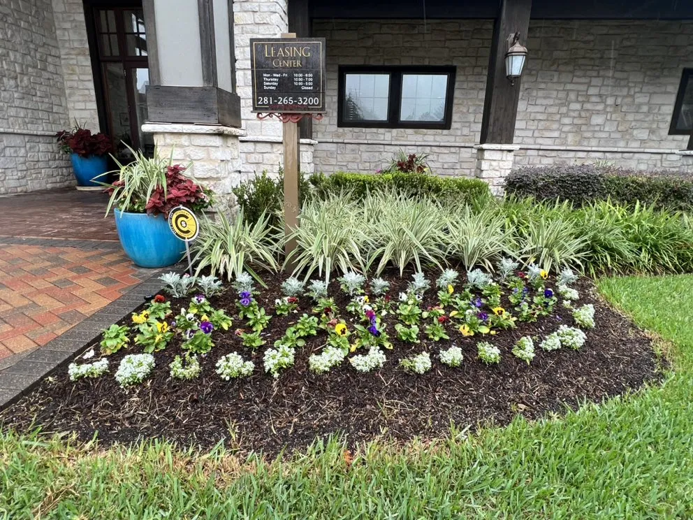 Professional outdoor landscaping in Houston, TX by The One Landscaping