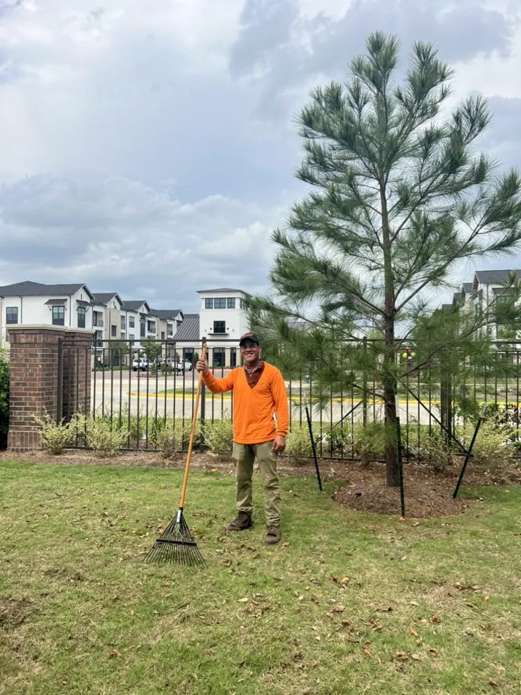 Expert outdoor landscaping in Houston, TX - The One Landscaping