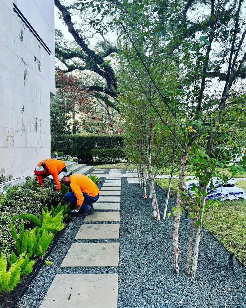 Professional yard cleanup service experts serving Houston, TX - The One Landscaping