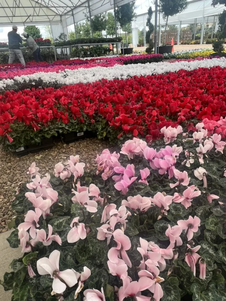 Trusted residential landscaping experts serving Houston, TX - The One Landscaping