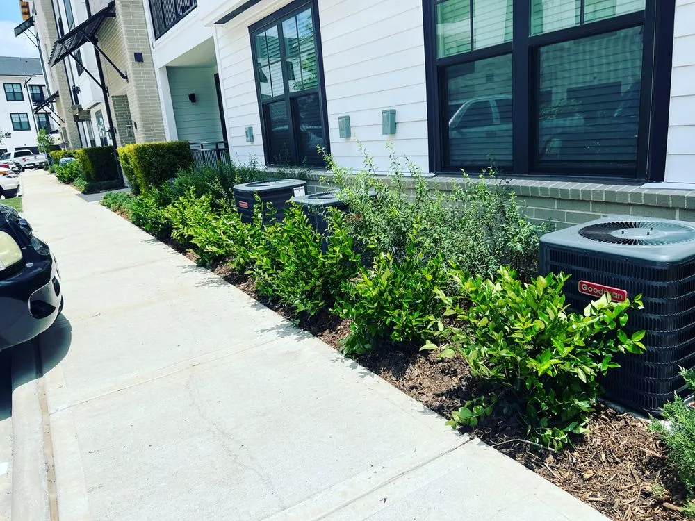 Affordable residential landscaping in Houston, TX by The One Landscaping