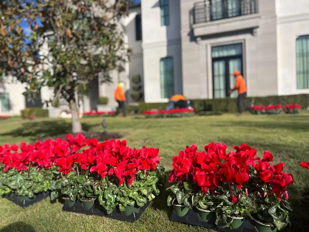 Top-rated lawn care service experts serving Houston, TX - The One Landscaping