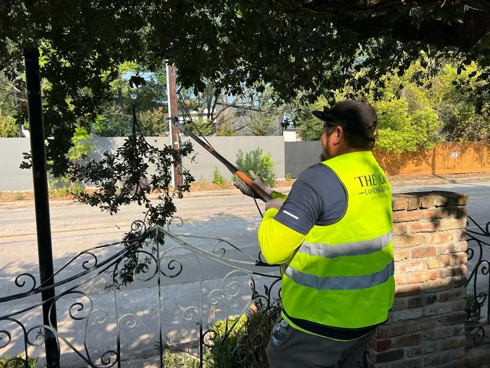 Reliable yard cleanup service in Houston, TX by The One Landscaping