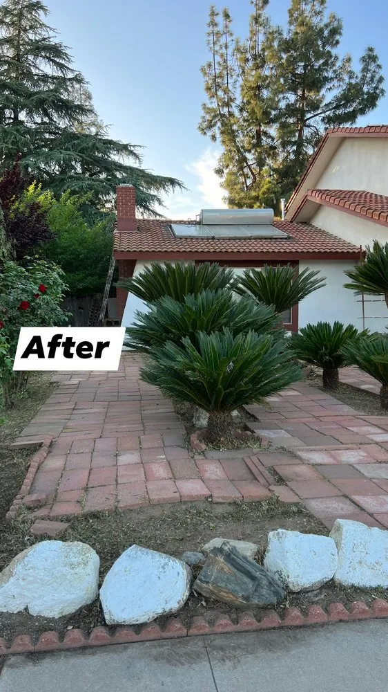 Affordable yard cleanup service for residential properties across Fresno, CA - The One Lawn Care