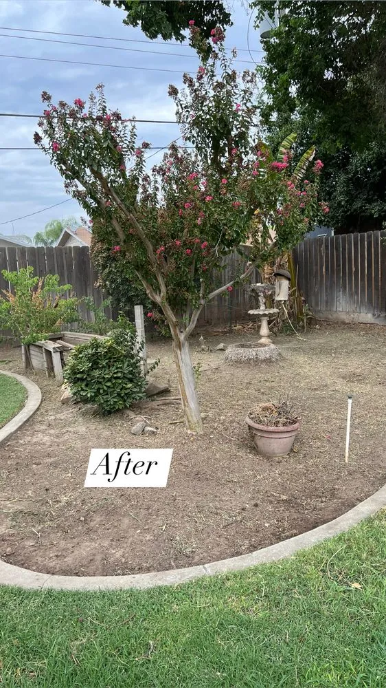 Top-rated residential landscaping for beautiful yards in Fresno, CA by The One Lawn Care