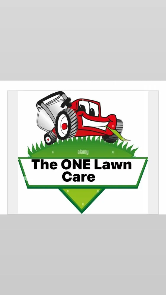 Professional yard maintenance for beautiful yards in Fresno, CA by The One Lawn Care