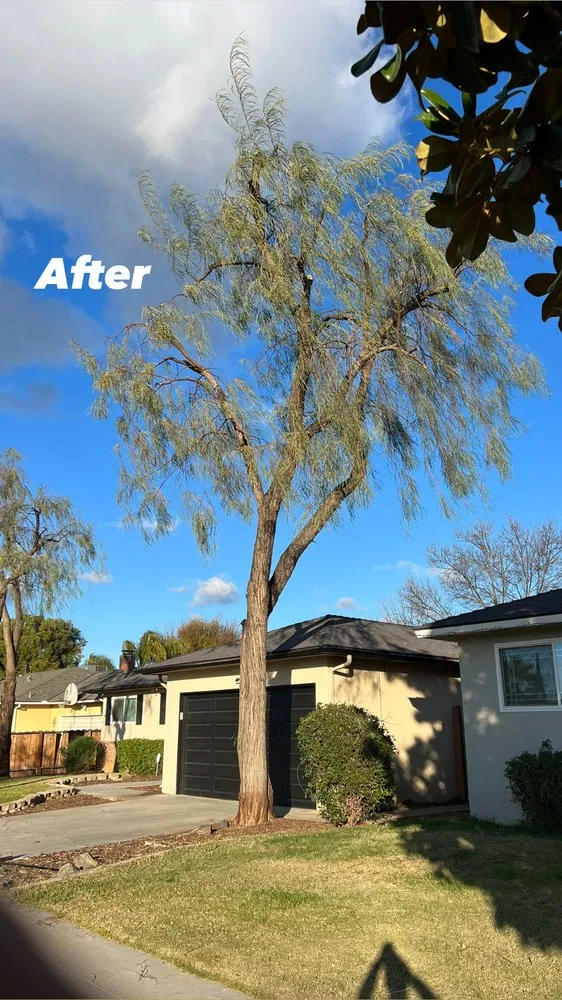 Custom lawn care service in Fresno, CA by The One Lawn Care