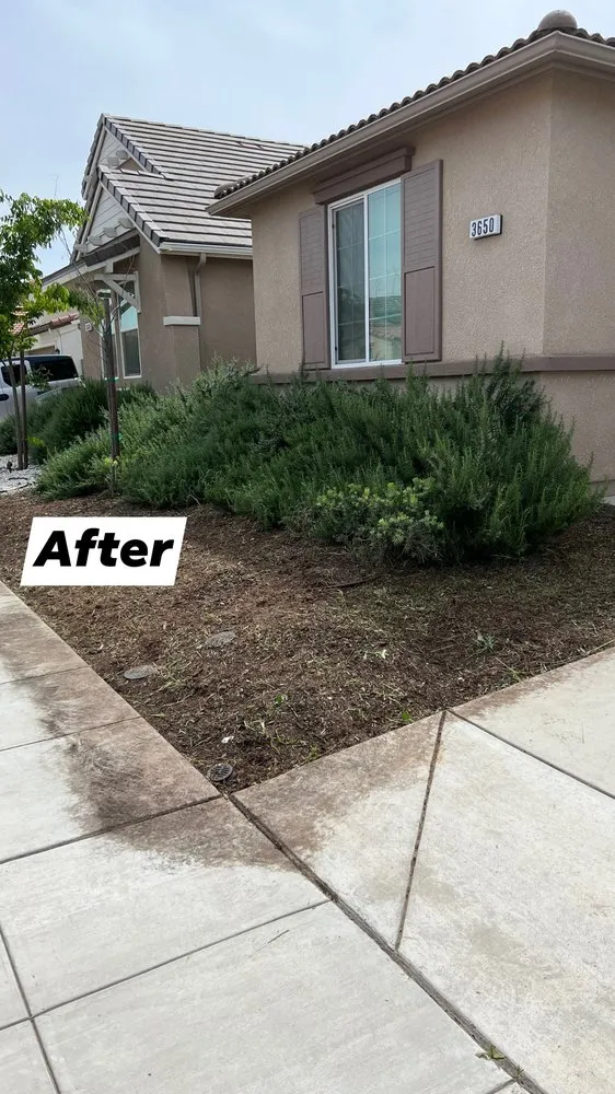Affordable outdoor landscaping in Fresno, CA - The One Lawn Care