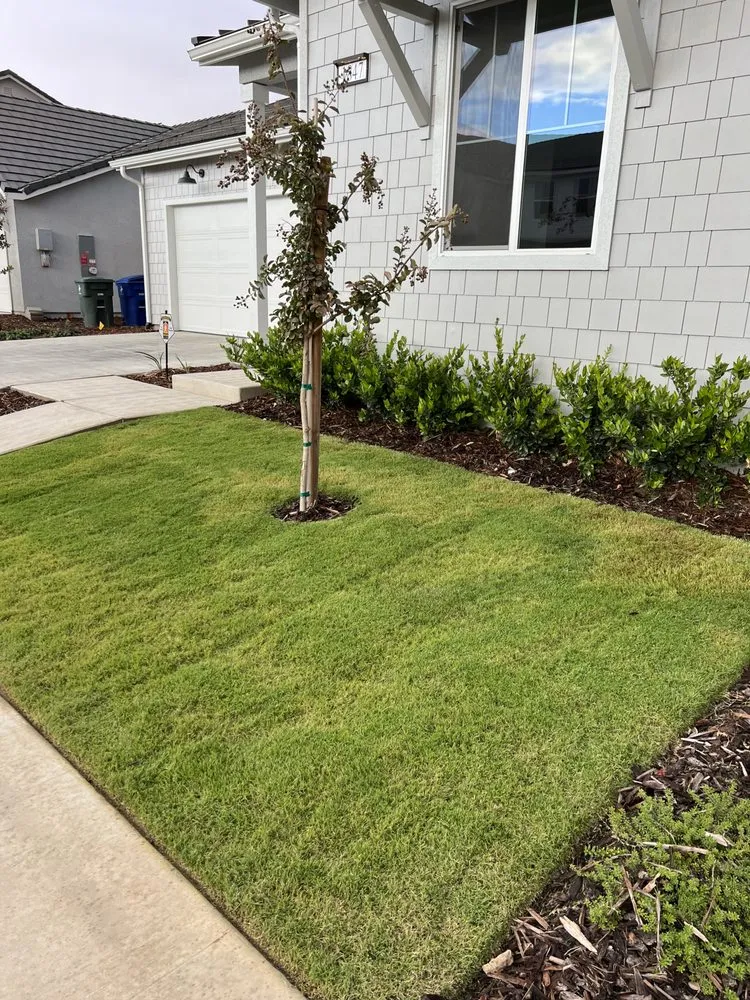 Local residential landscaping in Fresno, CA by The One Lawn Care