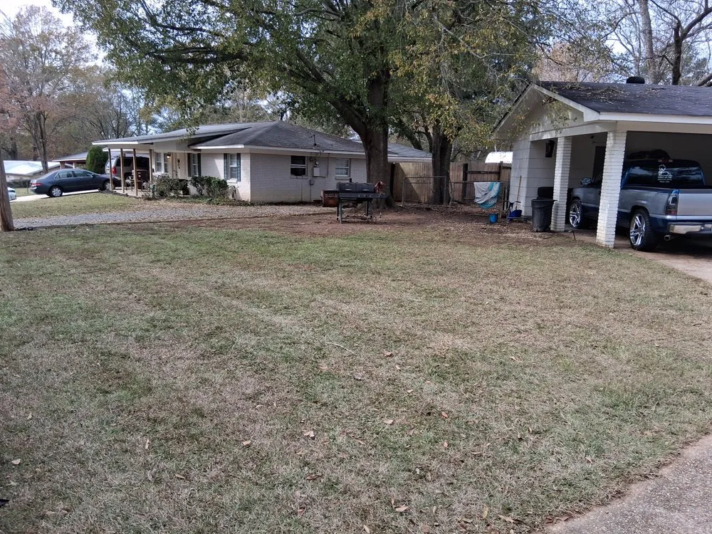 Expert residential landscaping for year-round maintenance across Jackson, MS - The Operation Neighborhood