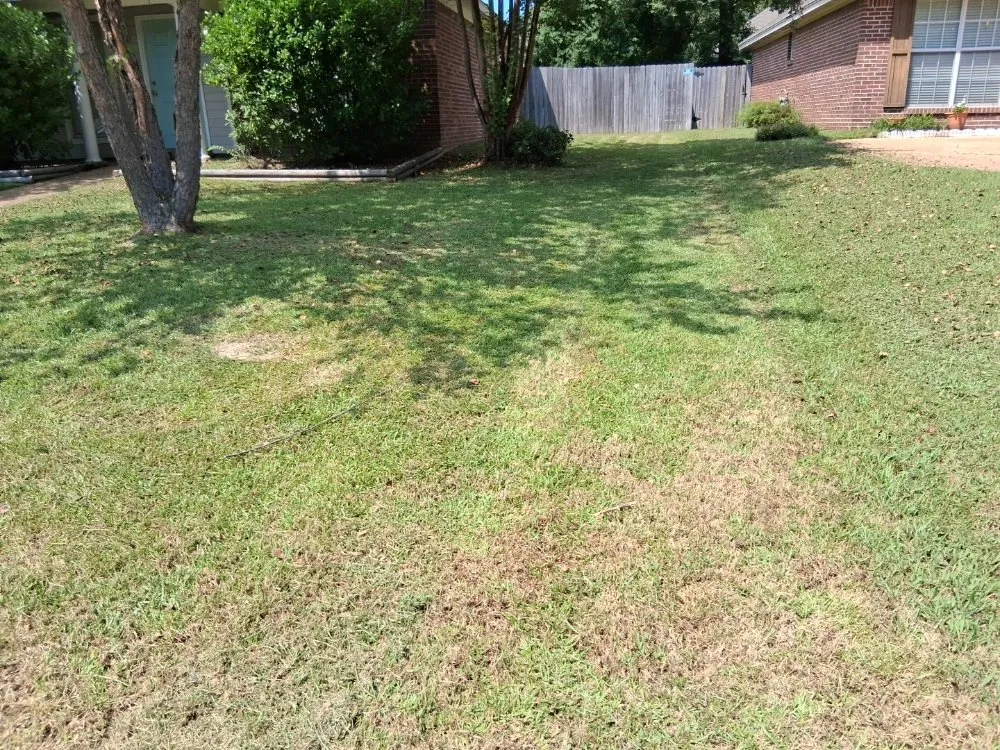 Reliable lawn care service experts serving Jackson, MS - The Operation Neighborhood
