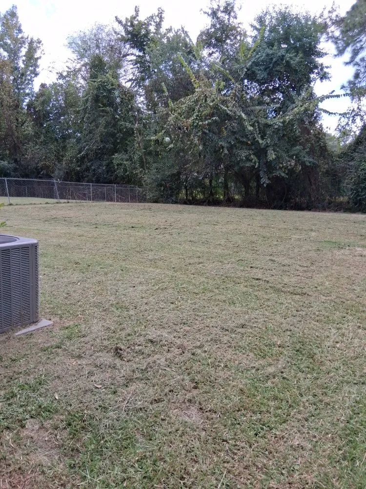 Top-rated yard maintenance in Jackson, MS by The Operation Neighborhood