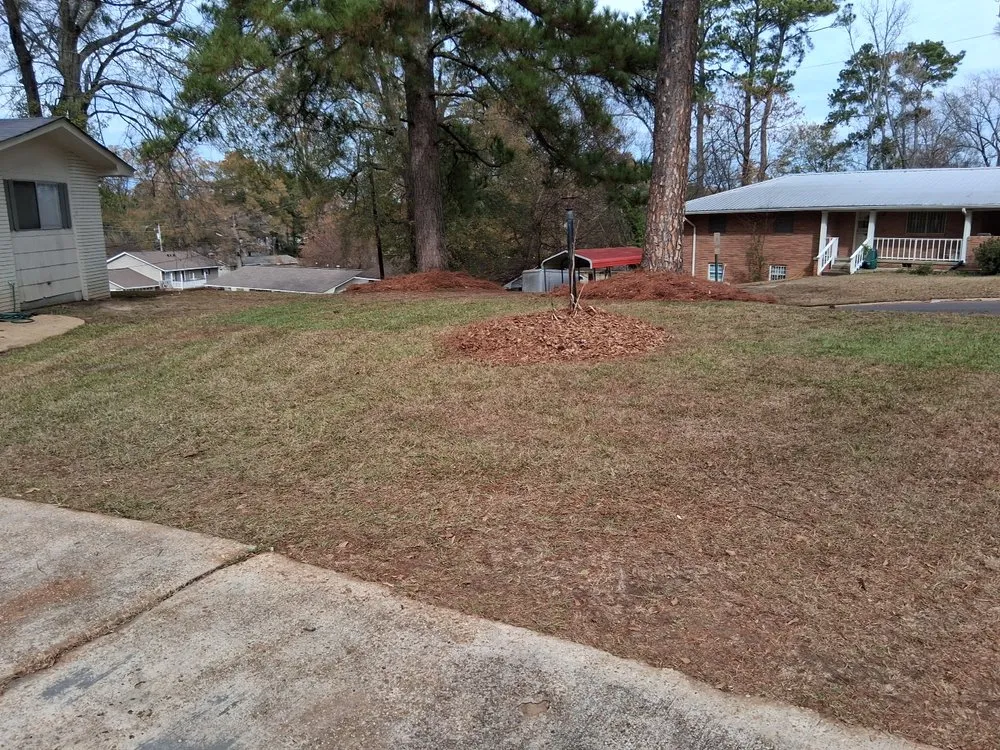 Top-rated landscape installation in Jackson, MS - The Operation Neighborhood