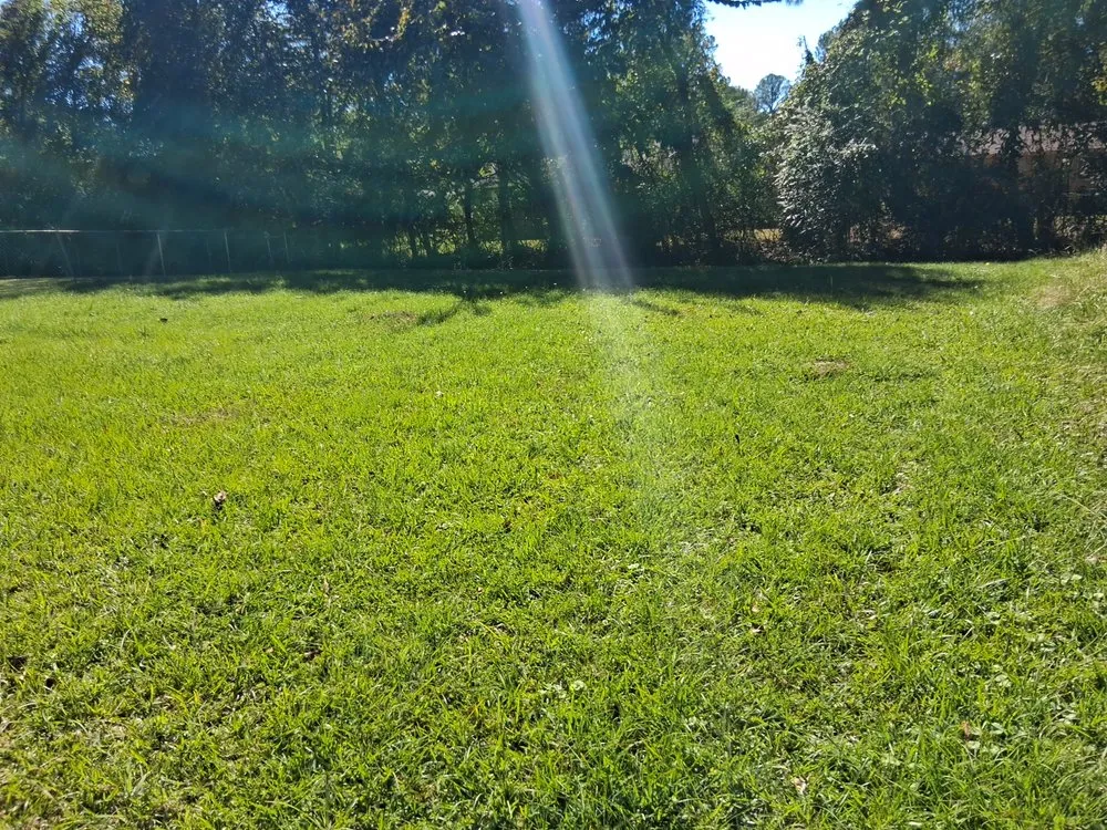 Custom yard cleanup service with custom design across Jackson, MS - The Operation Neighborhood