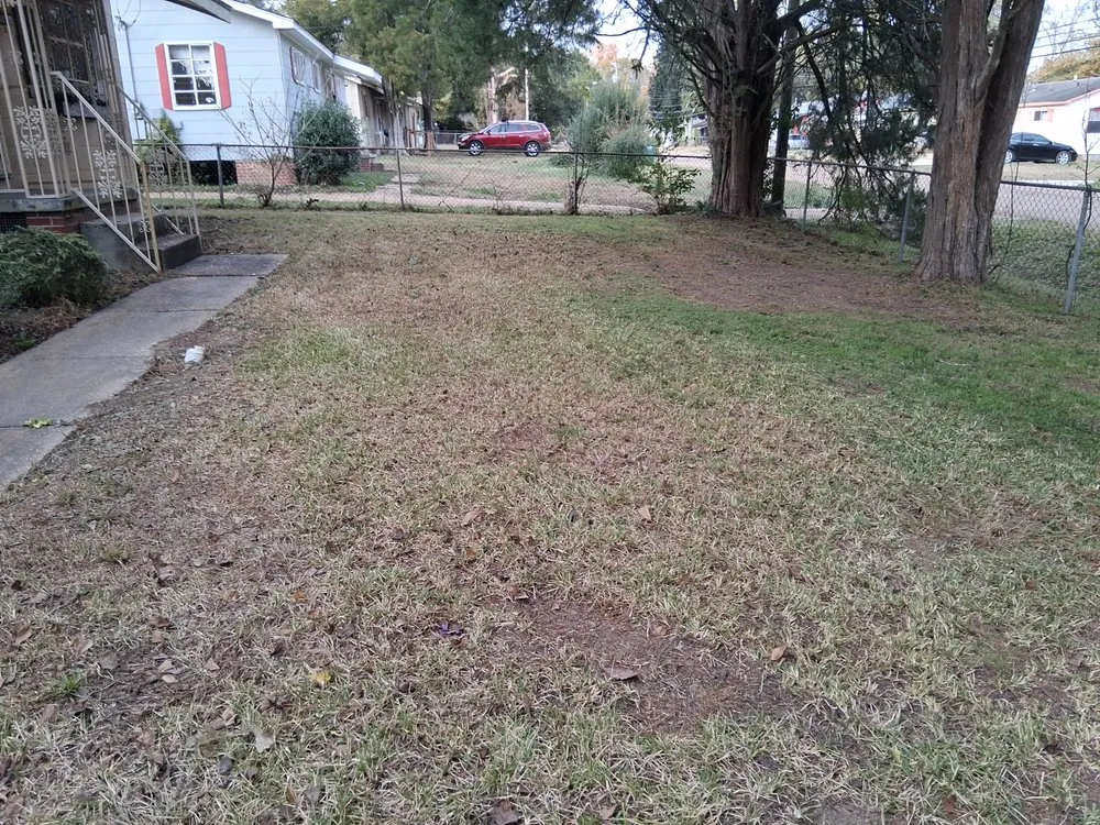 Professional outdoor landscaping in Jackson, MS - The Operation Neighborhood