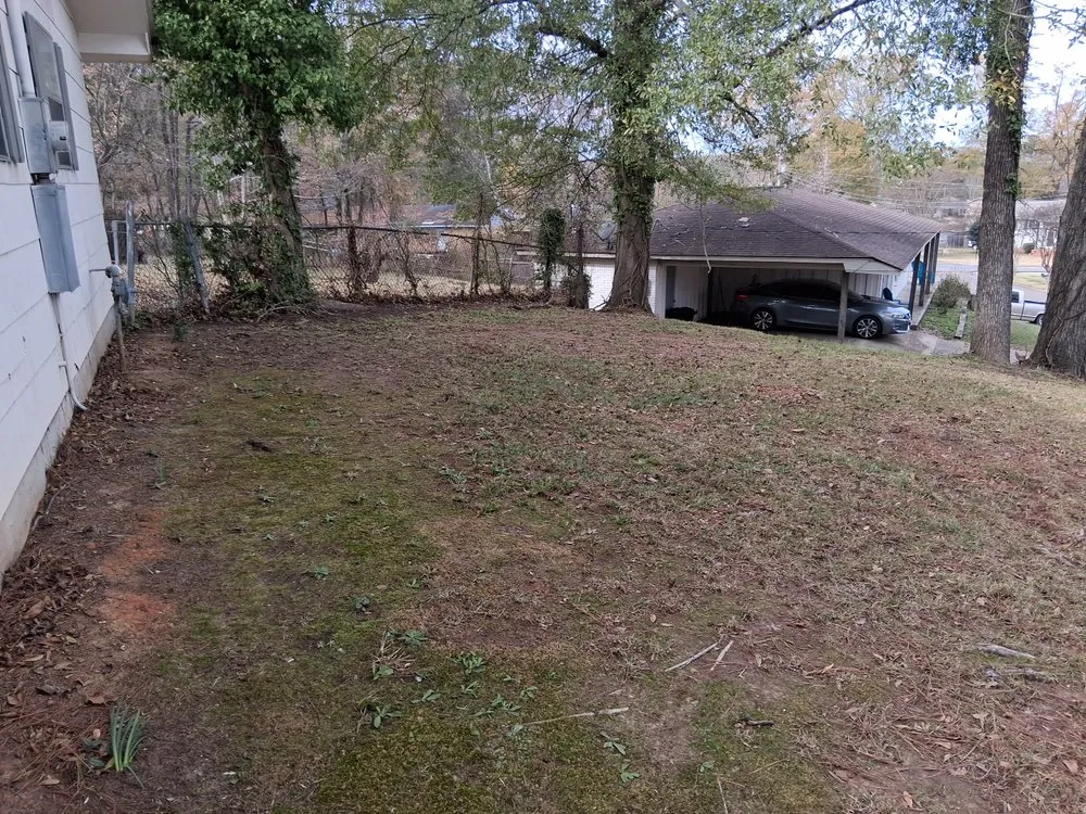 Trusted lawn care service experts serving Jackson, MS - The Operation Neighborhood