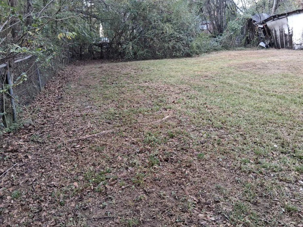 Expert residential landscaping in Jackson, MS - The Operation Neighborhood