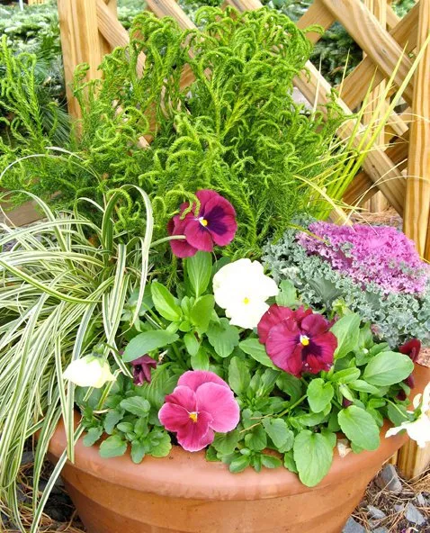 Reliable lawn mowing service experts serving Fort Valley, GA - The Orange Frog