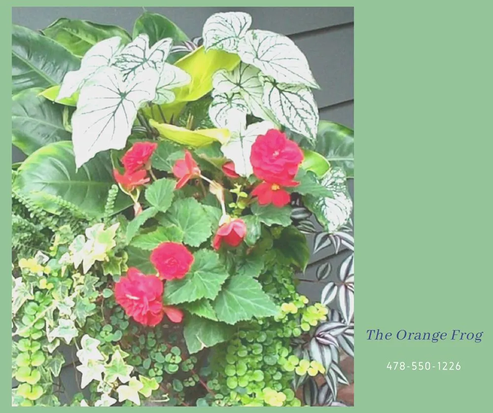 Custom outdoor landscaping for residential properties in Fort Valley, GA by The Orange Frog