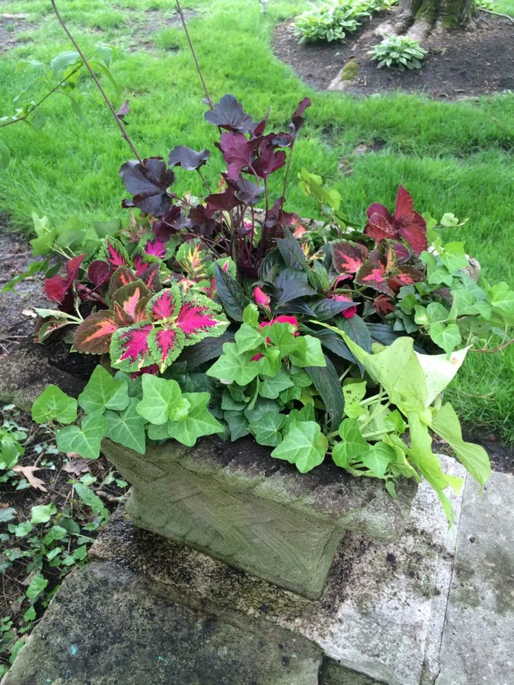 Custom outdoor landscaping in Fort Valley, GA by The Orange Frog