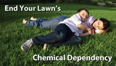 The Organic Turf Company