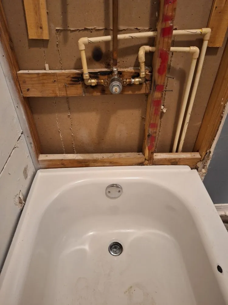 Custom yard cleanup service in Thonotosassa, FL - The Original Hunters