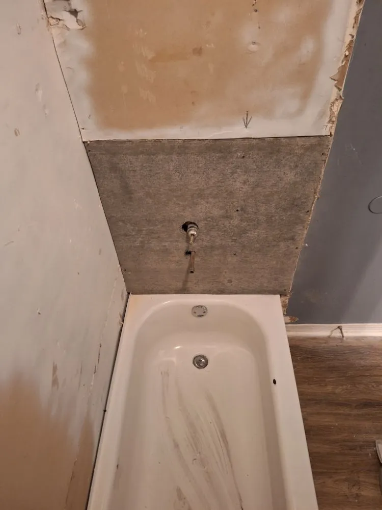 Trusted yard cleanup service for year-round maintenance in Thonotosassa, FL by The Original Hunters