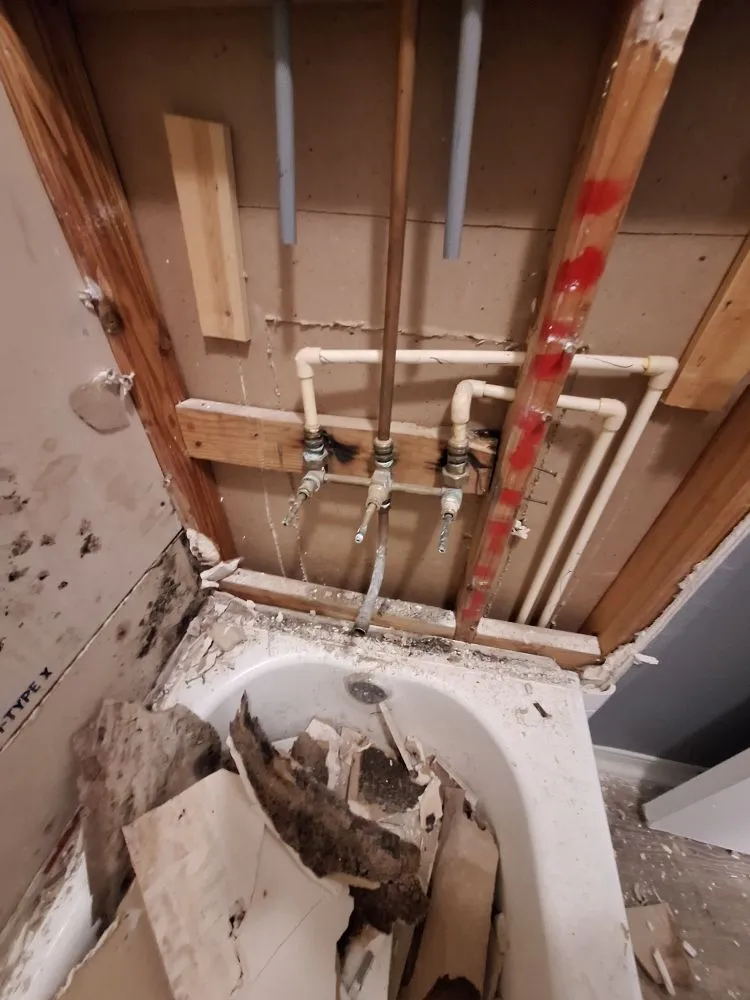 Affordable garden landscaping in Thonotosassa, FL - The Original Hunters