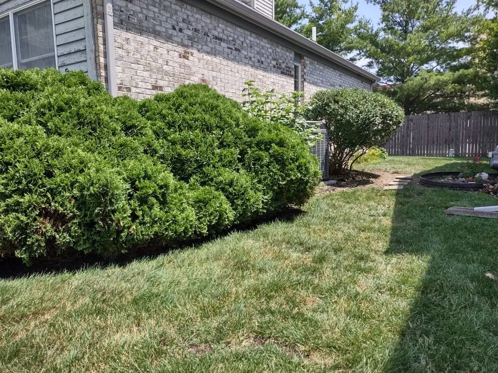 Top-rated garden landscaping for homes across Savoy, IL - The Original Lawn Guys