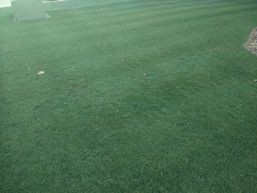 Trusted landscaping services in Savoy, IL - The Original Lawn Guys