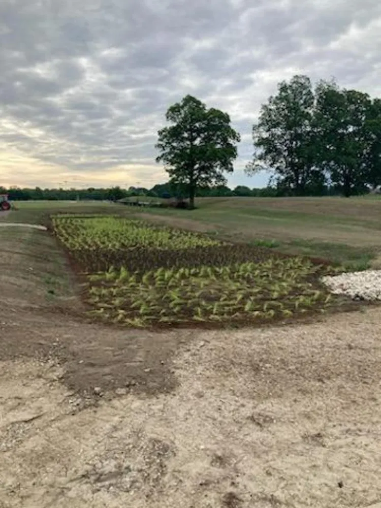 Reliable garden landscaping near you in Savoy, IL by The Original Lawn Guys