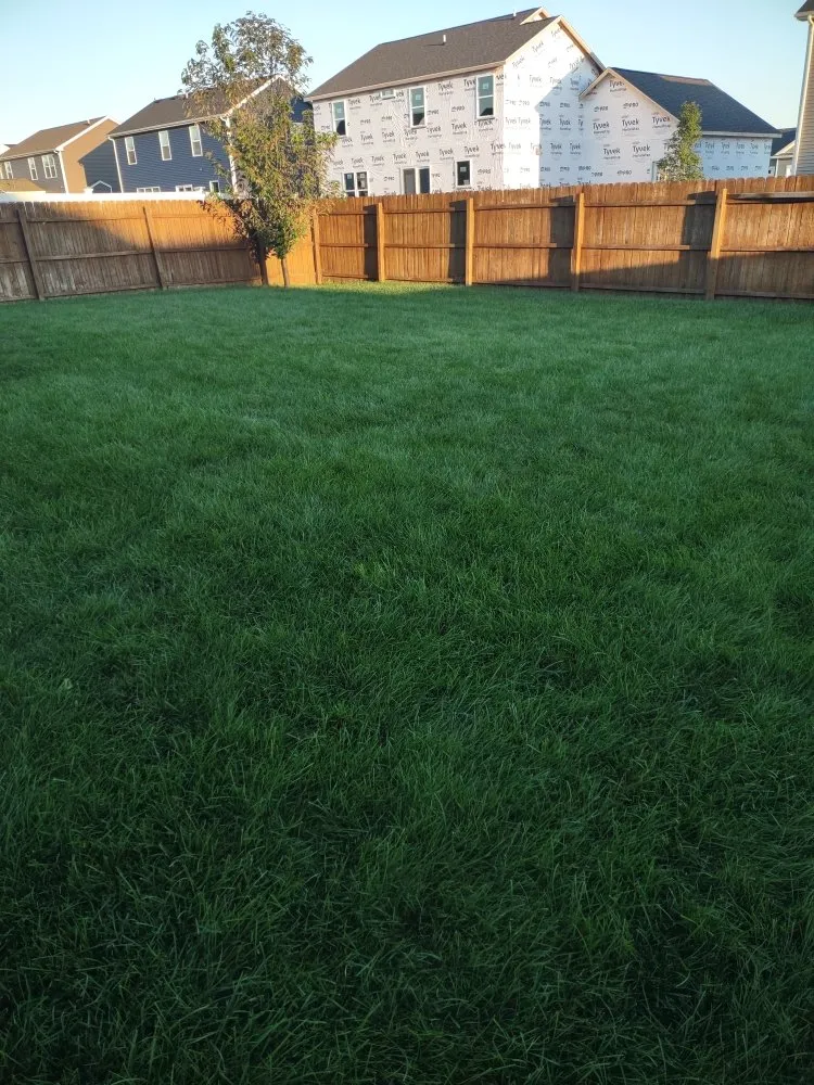 Expert outdoor landscaping for outdoor upgrades in Savoy, IL by The Original Lawn Guys