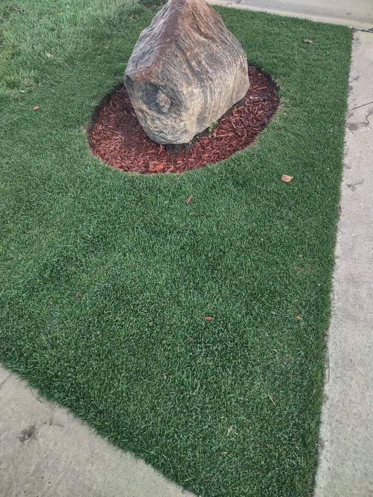 Reliable landscaping services for year-round maintenance in Savoy, IL by The Original Lawn Guys