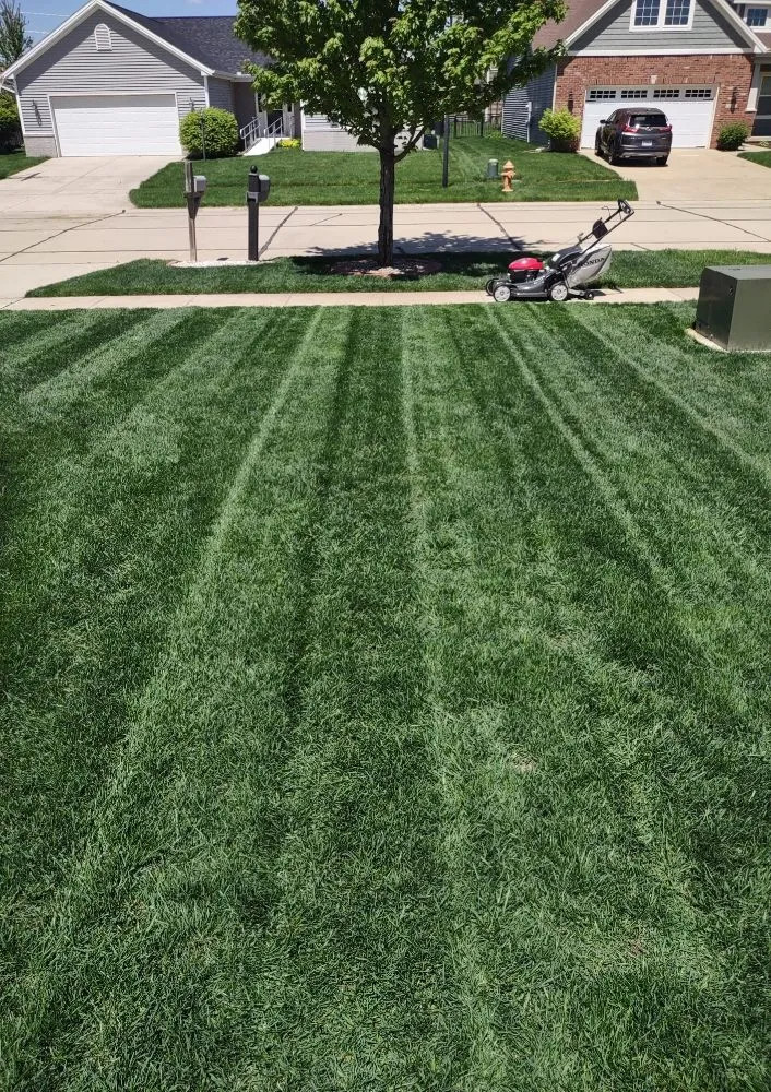 Custom outdoor landscaping in Savoy, IL by The Original Lawn Guys