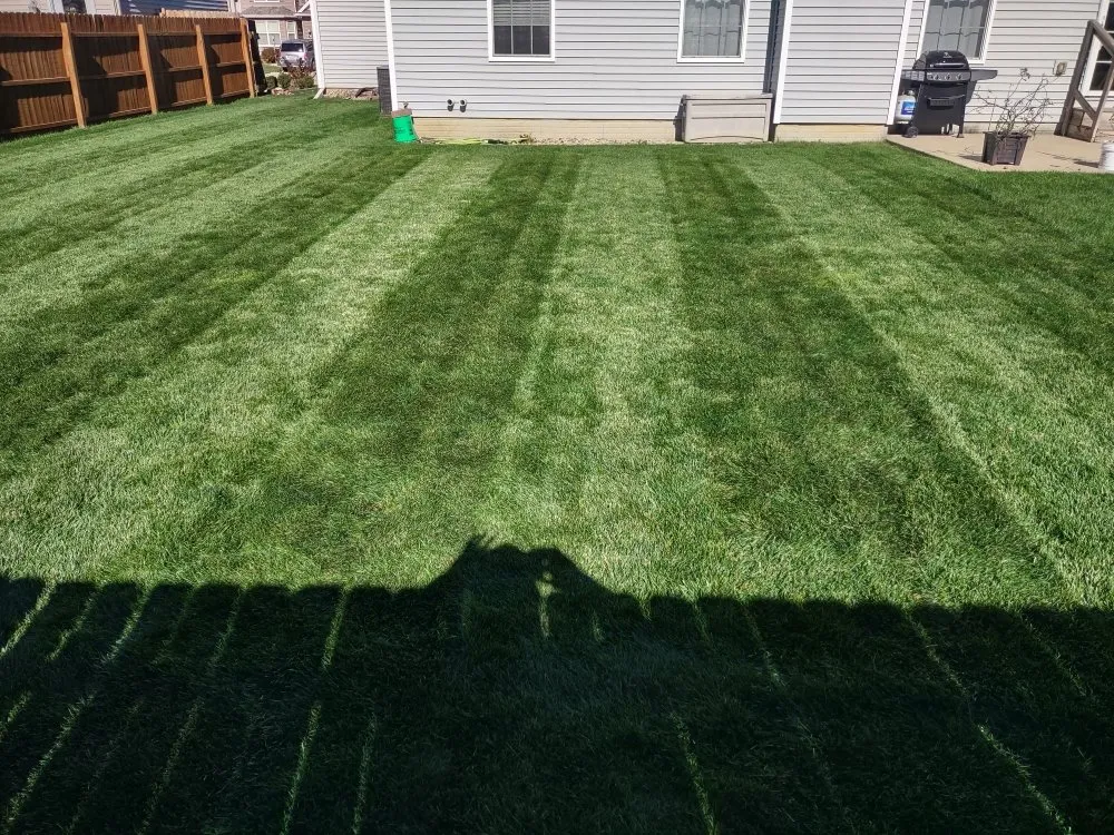 Top-rated residential landscaping in Savoy, IL by The Original Lawn Guys