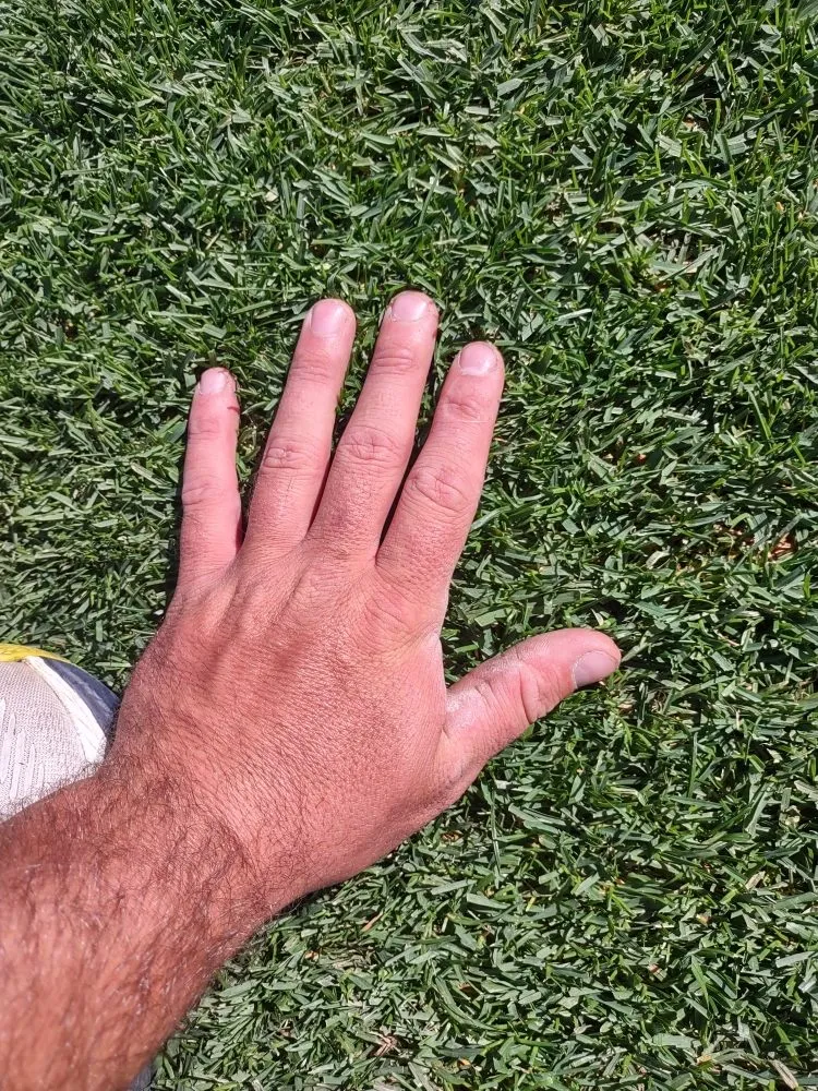 Reliable landscape installation experts serving Savoy, IL - The Original Lawn Guys