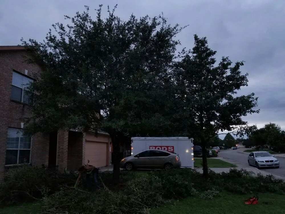 Professional yard cleanup service in San Antonio, TX by The Other Branch