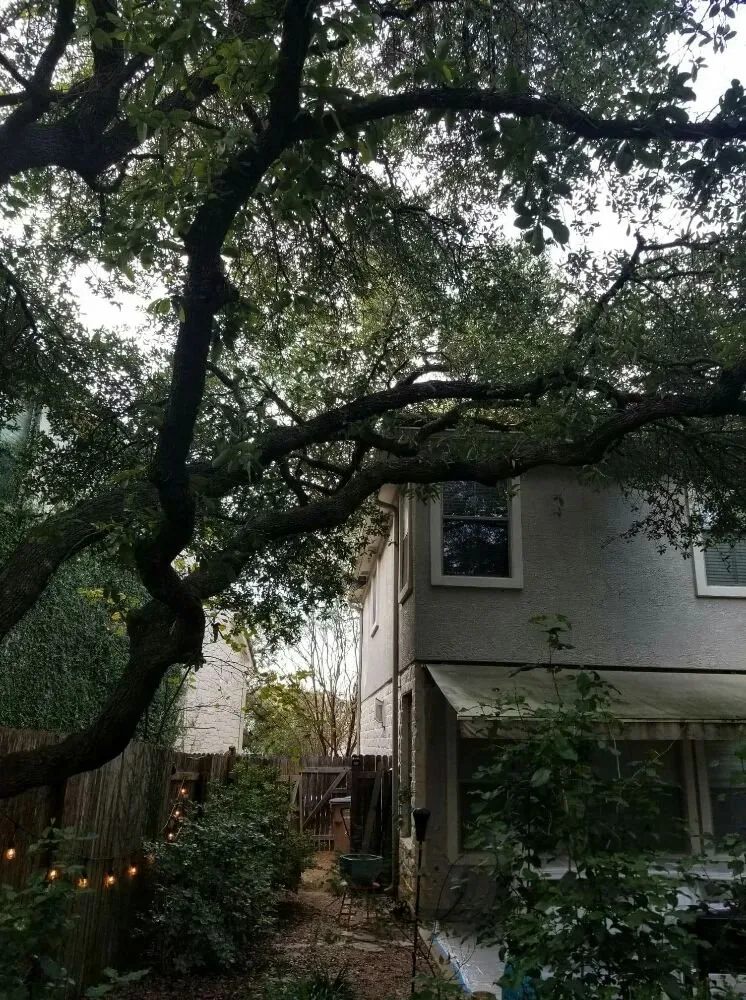 Custom outdoor landscaping in San Antonio, TX by The Other Branch